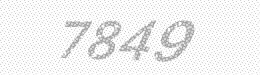Visual security code — type the characters shown in the image